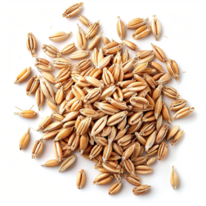 grain
